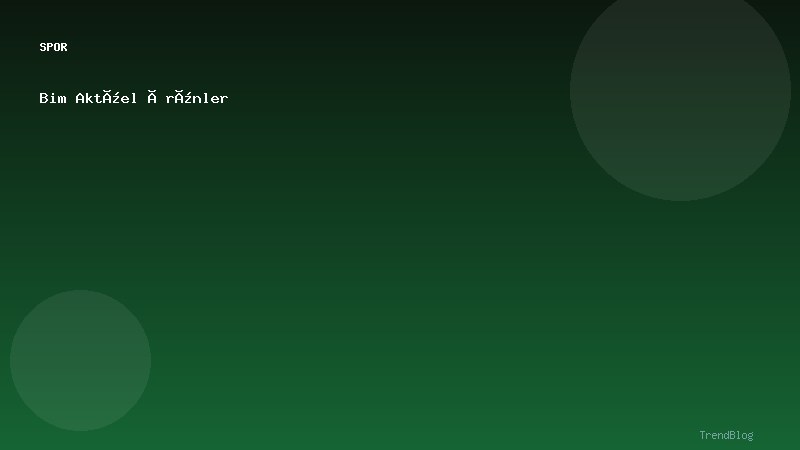 Bim Aktüel Ürünler
